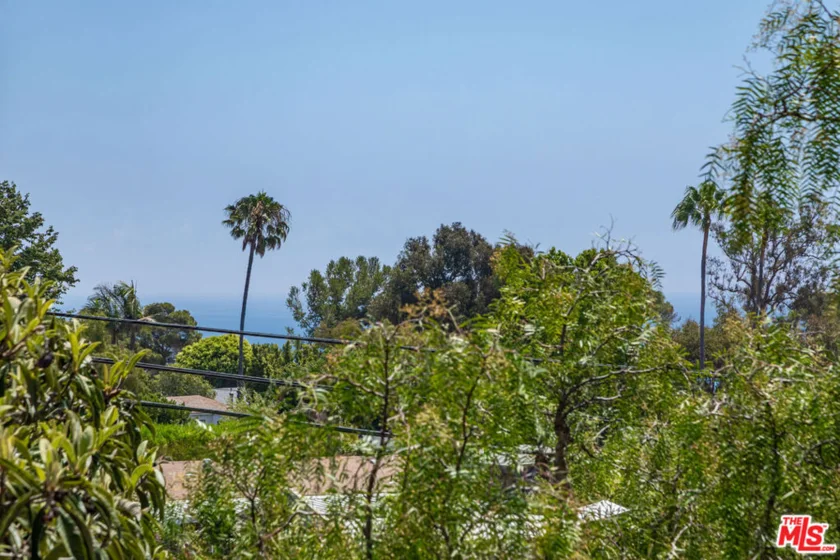 28368 Rey De Copas Lane photo 21