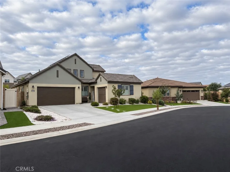 32229 Olea photo 3