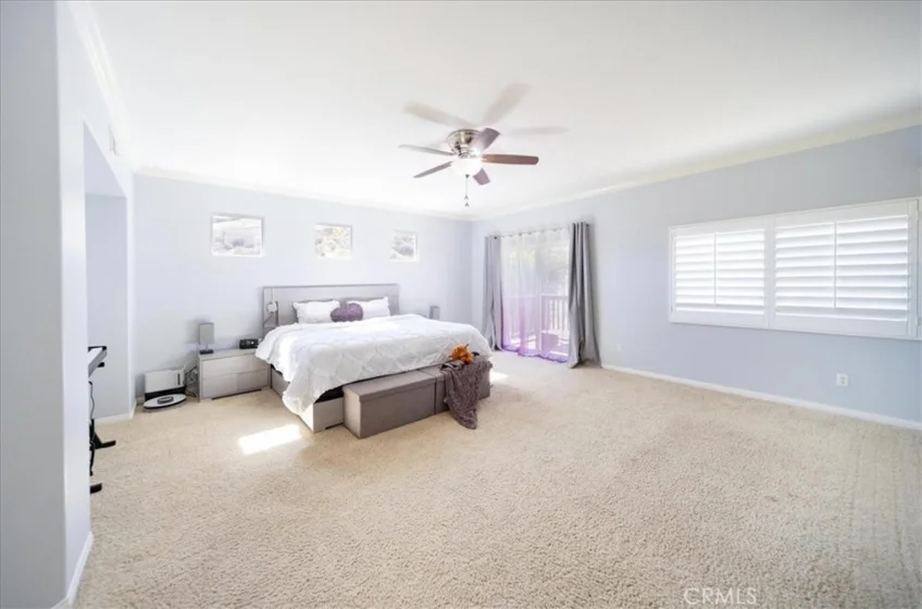27486 Fern Pine photo 27