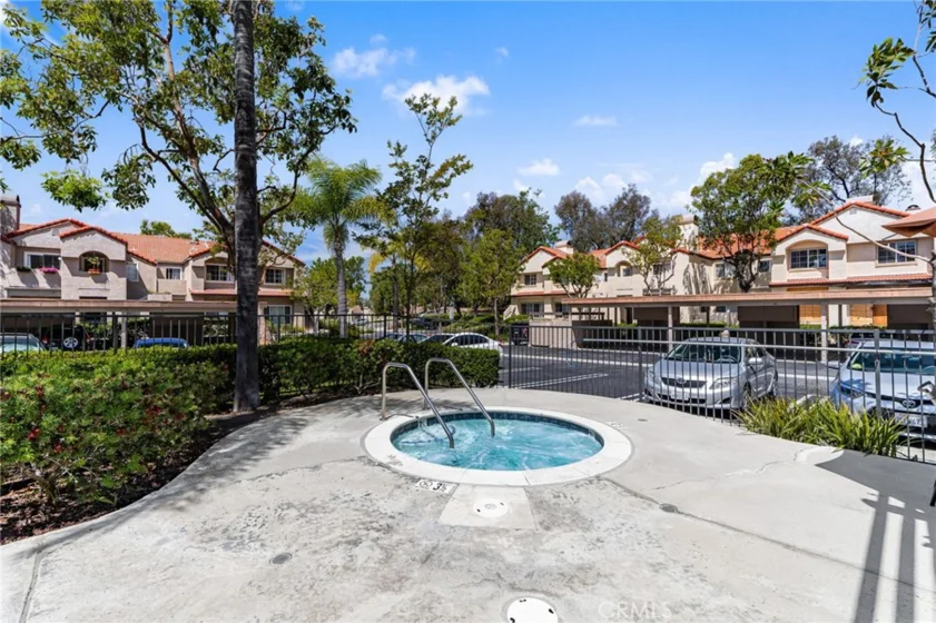 21256 Camelia photo 31