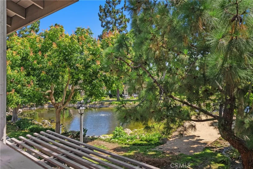 26972 Mill Pond Road #30 photo 16