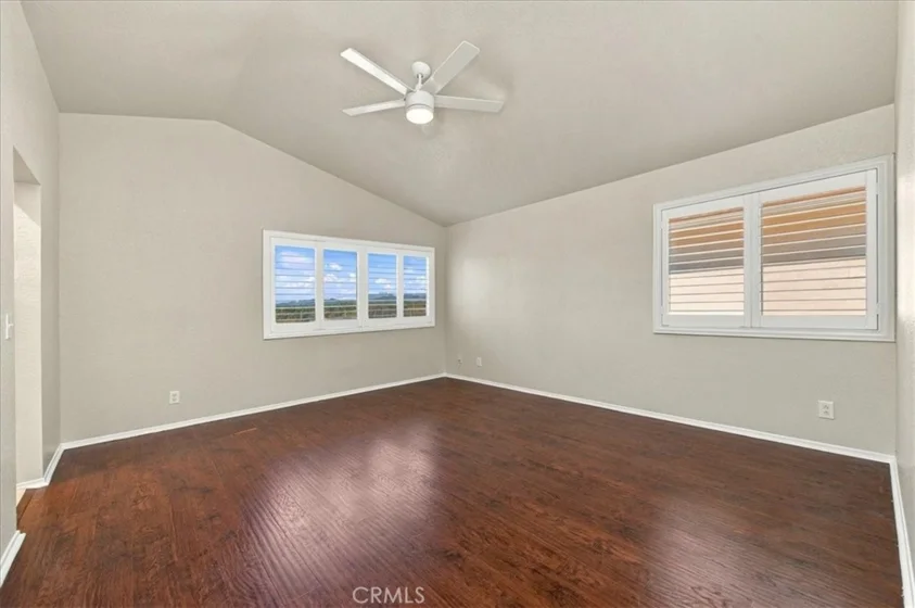40153 Starling photo 24