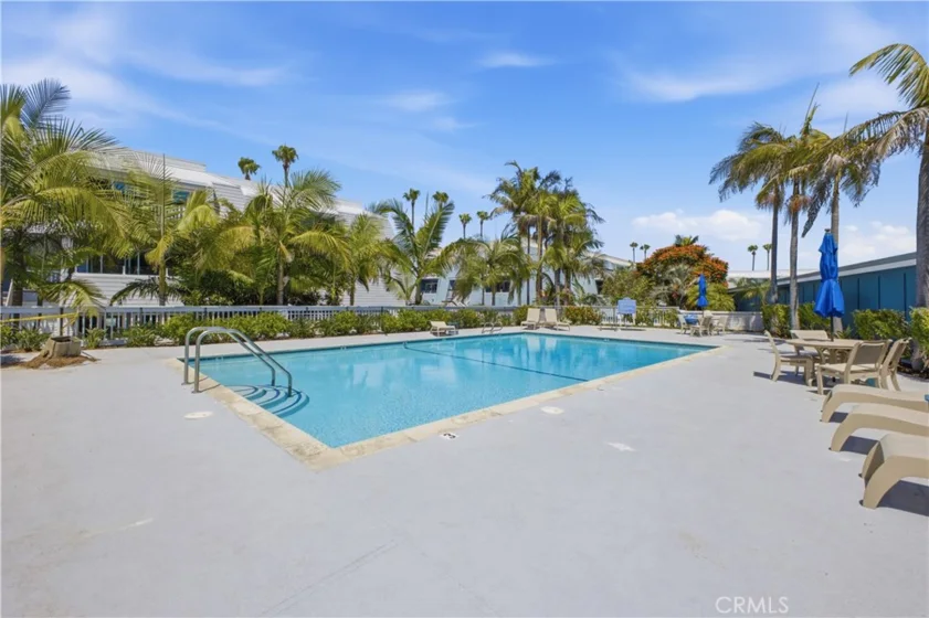 22 Montego Court photo 41
