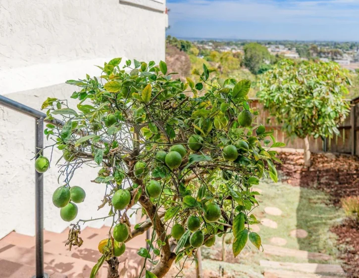 3866 Murray Hill photo 46