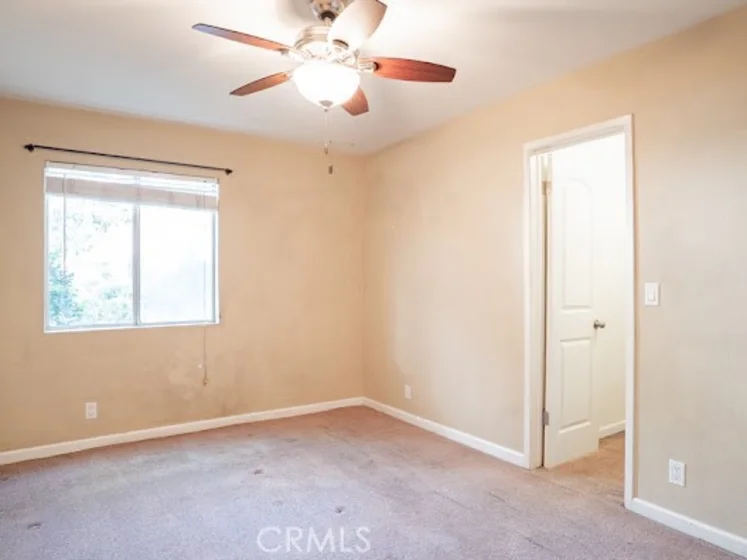 3565 Linden photo 20
