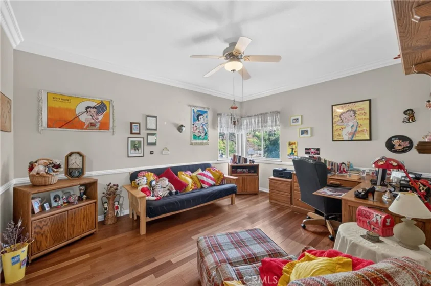 30767 Calle Pina Colada photo 56