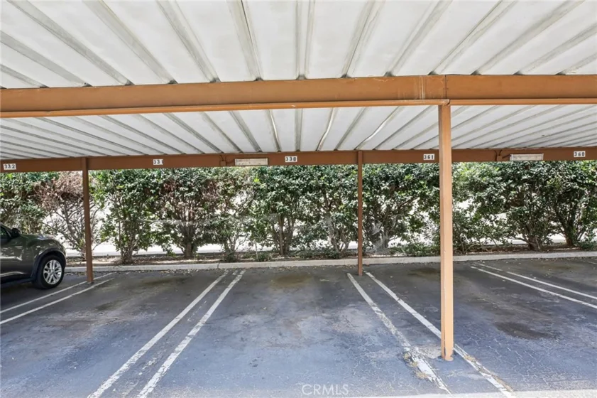 288 Tangelo photo 37