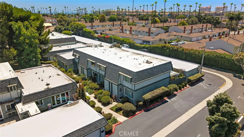 21096 Windchild photo 31