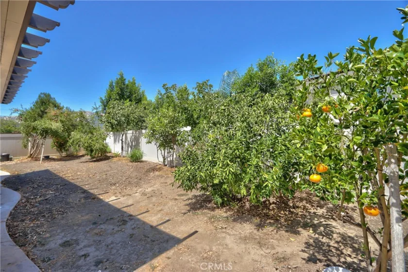 45743 Magnolia photo 38