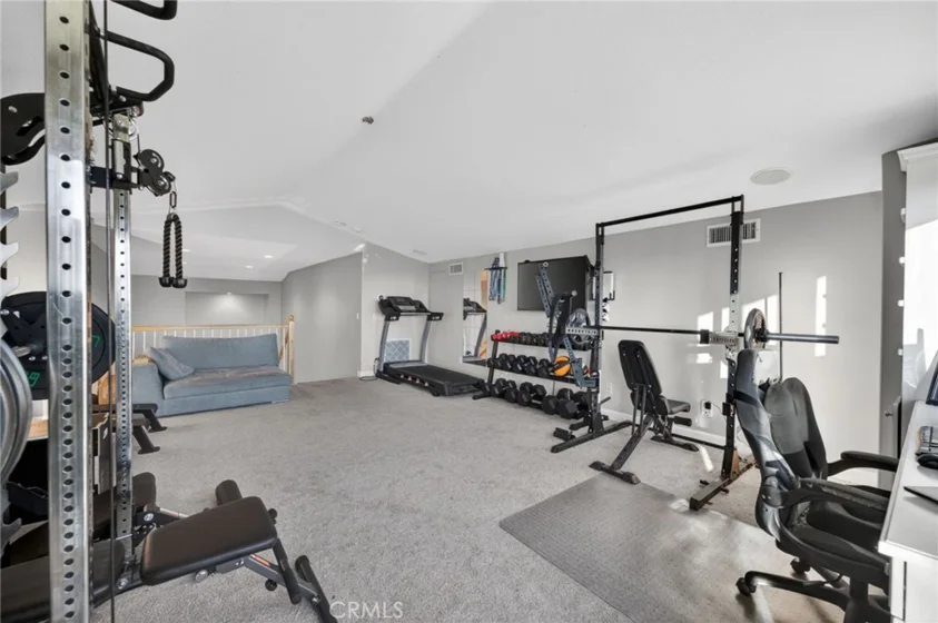 35685 Abelia photo 34