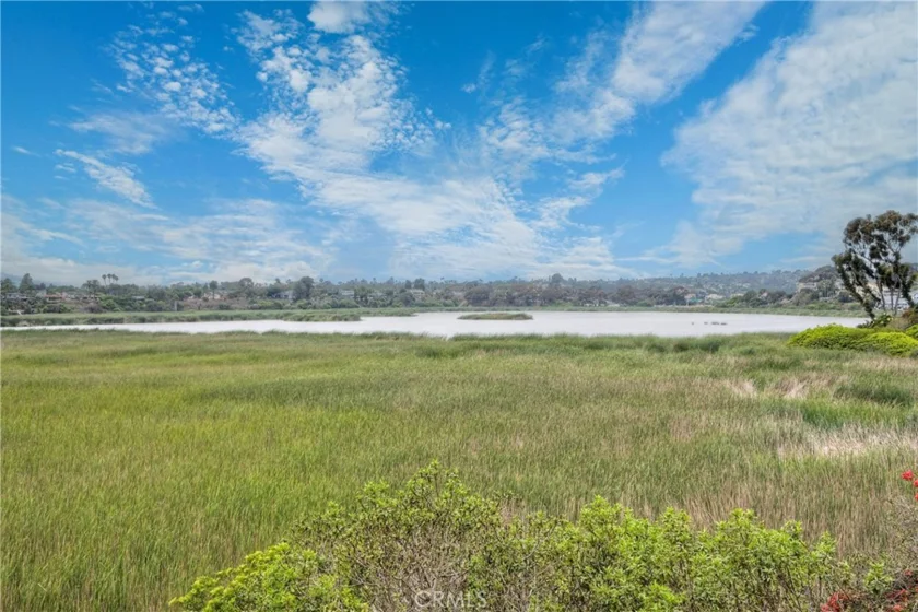 543 Laguna Drive photo 38