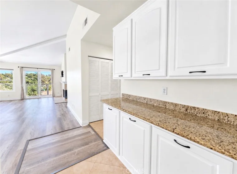 30902 Clubhouse Drive #14H photo 9