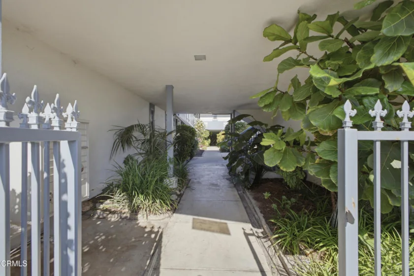 245 Aster Street #6 photo 21