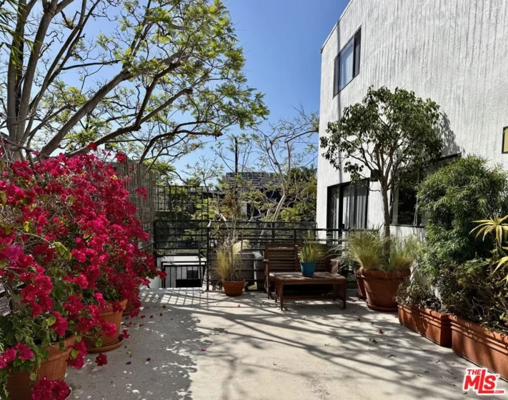 2500 Abbot Kinney Boulevard #6 photo 48