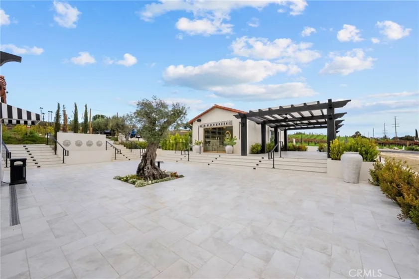 41309 Avenida Biona photo 23