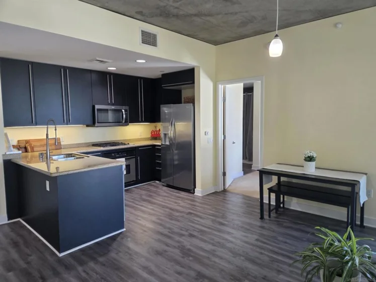 801 Ash Street #203 photo 8