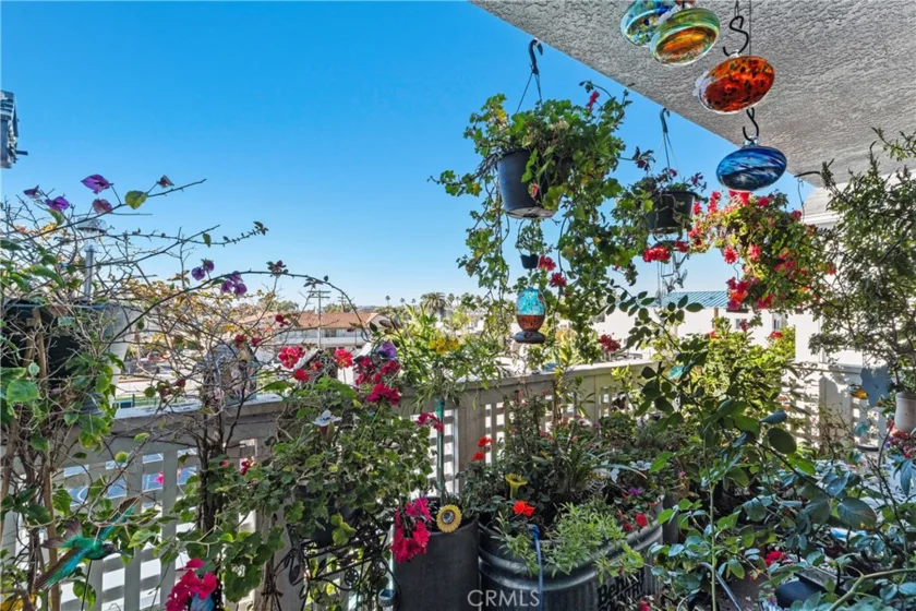 34264 Camino Capistrano #309 photo 21