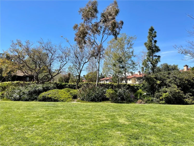 33852 Del Obispo Street #9 photo 58