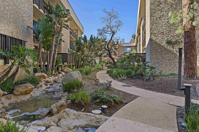 6406 Friars #338 photo 24