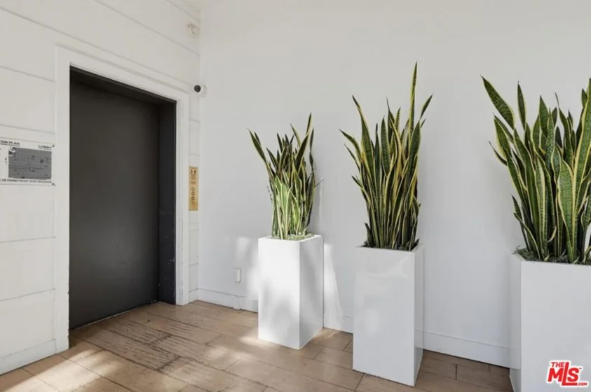 1140 E Ocean Boulevard #220 photo 13