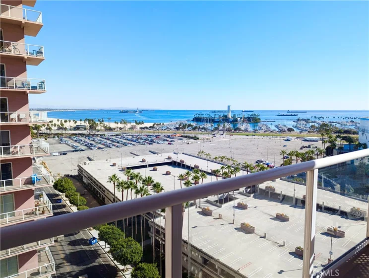 388 E Ocean Boulevard #1117 photo 24