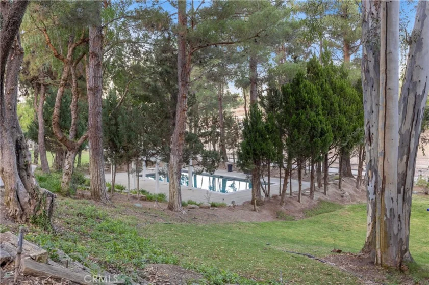 42761 Juniper photo 54