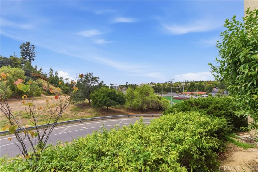 1307 Shadow Lane #D photo 35