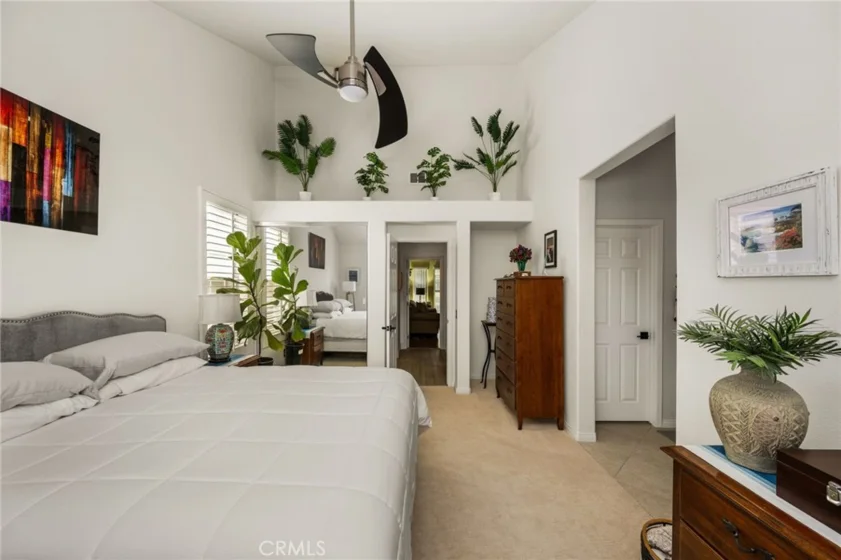 118 Matisse photo 36