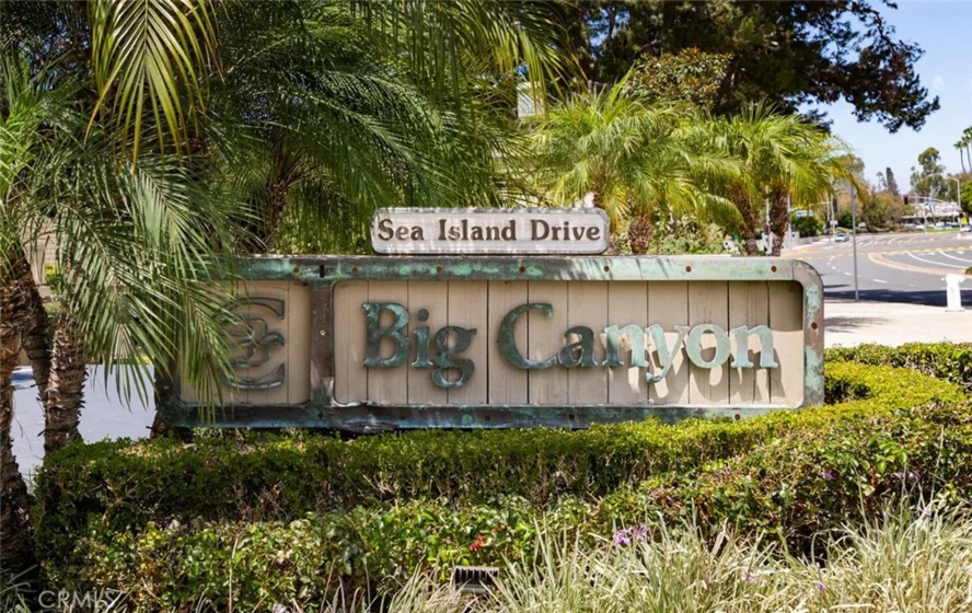 55 Sea Island photo 28