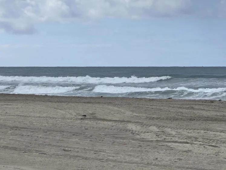 725 Redondo Court #22 photo 10