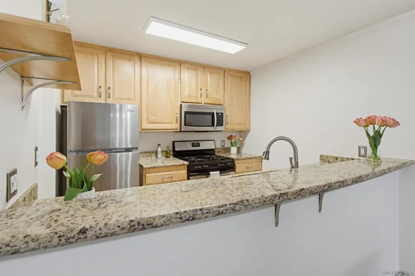 1621 S Hotel Circle #E231 photo 51