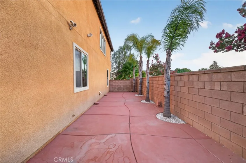 30780 Olympia Rose photo 54