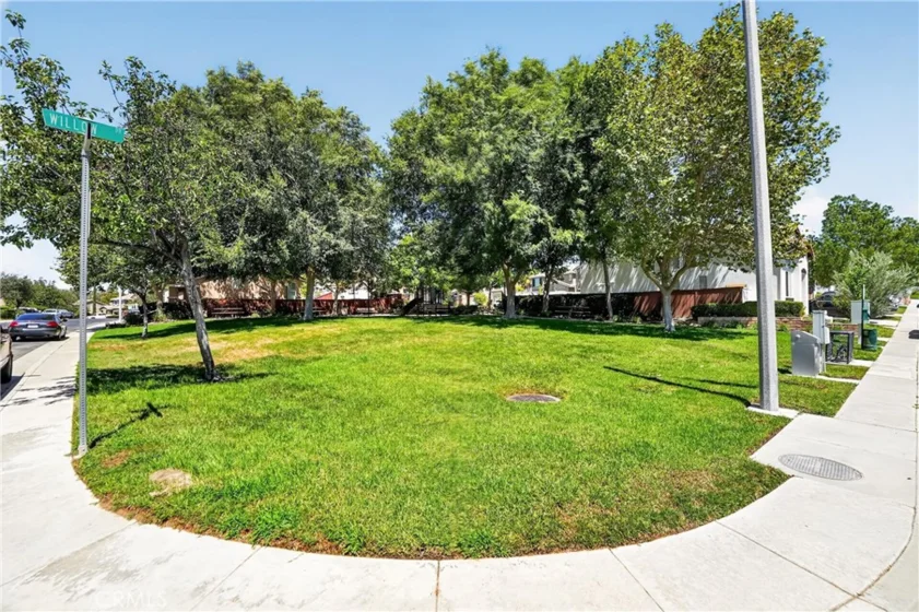 42124 Orange Blossom photo 31