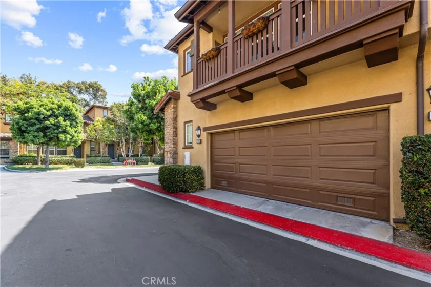 118 Coral Rose photo 5