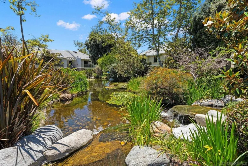 12245 Carmel Vista #290 photo 17