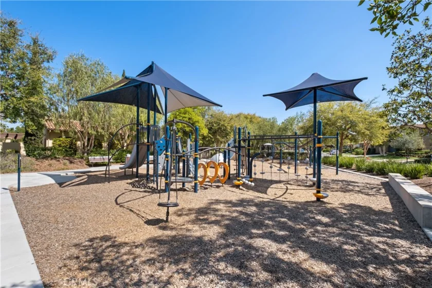 17 Canopy photo 37