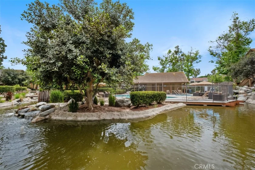 324 Tangelo photo 14