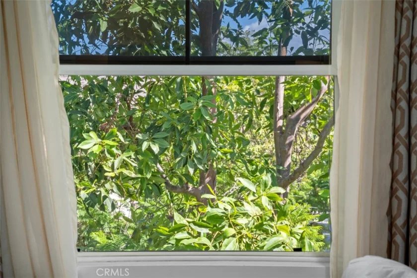42 Albany Street #65 photo 23