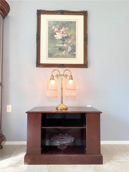 28938 Paseo Caravella photo 13