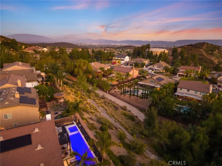 35685 Abelia photo 71