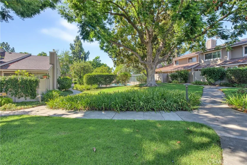 3160 E Palm #56 photo 41