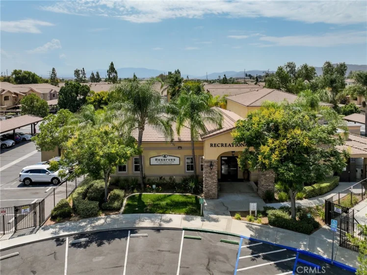 41410 Juniper photo 42