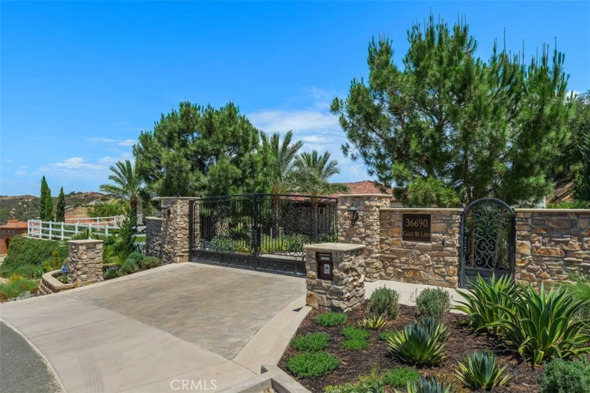 36690 Calle De Lobo photo 6