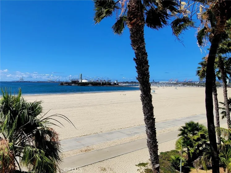 1310 E Ocean #905 photo 39