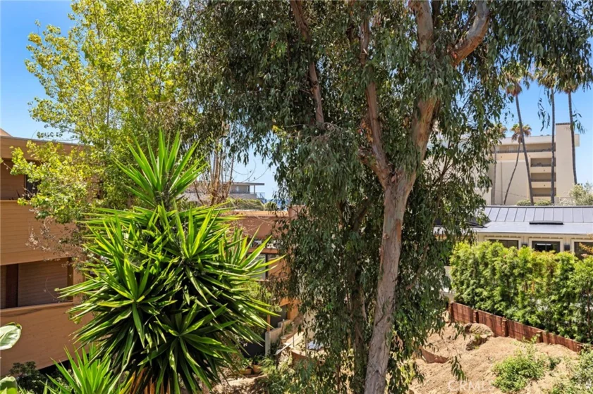 251 Calliope Street photo 11