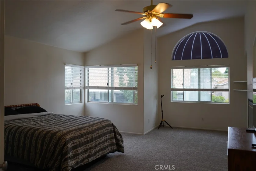24054 Bearskin photo 24