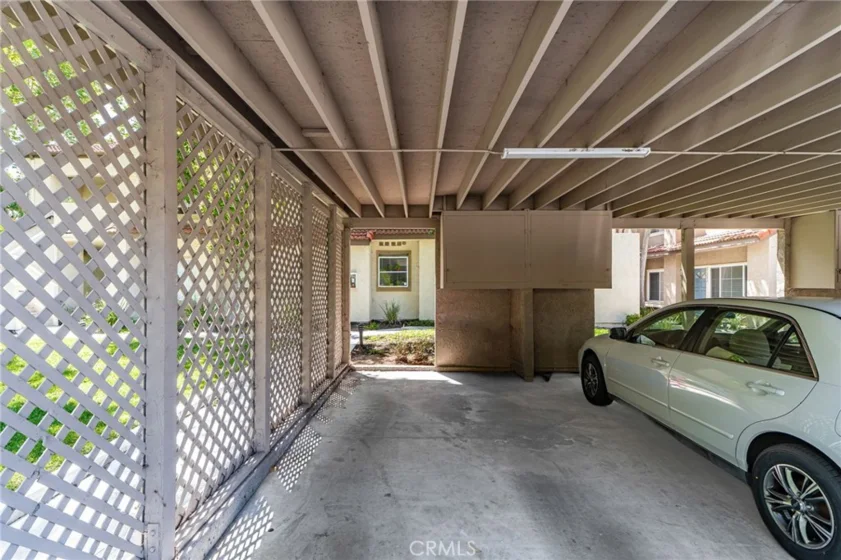 21256 Camelia photo 28