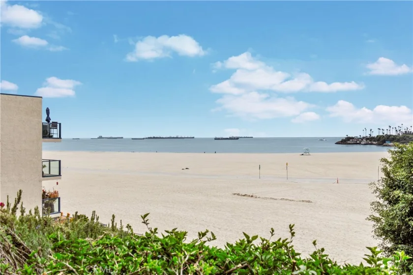 1030 E Ocean Boulevard #502 photo 20