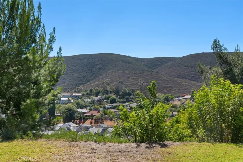 14742 Caminito Orense Oeste photo 18