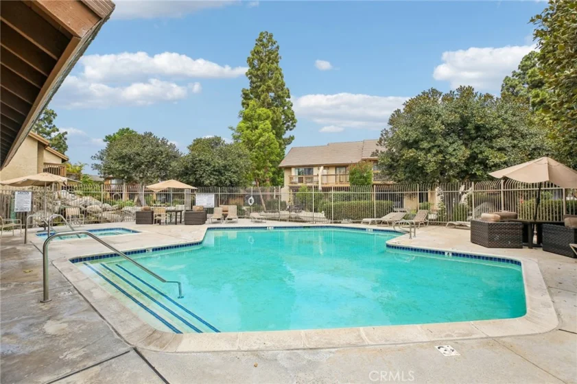 288 Tangelo photo 39